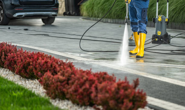 Animal Enclosure Cleaning in Wheeler Af, HI